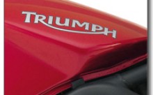 Scheibe Windschild Triumph Tiger Explorer