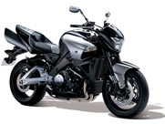 Kuipruit Suzuki B KING 1300