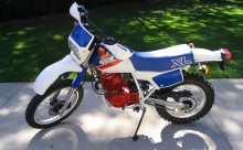 Blinker Honda XL 600