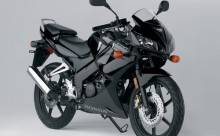 Kuipruit Honda CBR 125 R