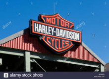 Cylinder head cover Harley Davidson Softtail