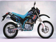 Radiateur Kawasaki KLX 650