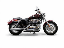 Remleiding voor Harley Davidson XL1200C 1200 Custom