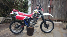 Voorvelg Honda XR 250 R
