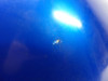 Tank Suzuki GS 650