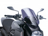 Wind screen Ducati Diavel