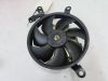 Fan Kawasaki ZX 10 R