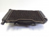 Radiator Yamaha TDM