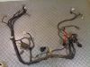 Wire Harness Yamaha FZR 600