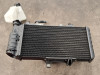 Radiator BMW F 700 GS