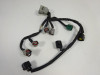 Wire Harness Yamaha FZ8