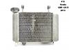 Radiator Honda CBR 125 R