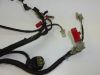 Wire Harness Honda TRANSALP