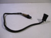 Oxygen sensor KTM 790 Duke