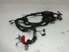 Wire Harness Honda TRANSALP