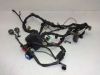 Kabelboom Honda NTV 650