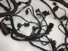 Wire Harness BMW F 800 S - ST