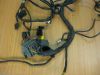 Wire Harness Triumph TT 600