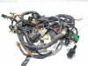 Wire Harness Kawasaki ZZR 1100
