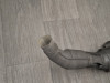Muffler Honda CBR 1000 F