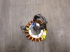 Dynamo Honda NC 750 S