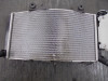 Radiator BMW F 750 GS