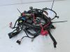 Wire Harness Triumph Sprint 900 Executive