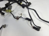 Wire Harness Kawasaki ER 6