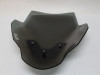 Scheibe Windschild BMW F 900 R