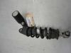 Stossdampfer hinten Honda CBR 600 RR