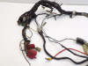 Wire Harness Kawasaki GPZ 900