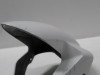 Kotflugel vorne BMW S 1000 RR