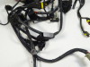Wire Harness Ducati monster 600