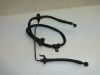Remleiding voor Honda ST 1100 Pan European