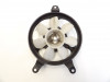 Fan Triumph Sprint ST 955