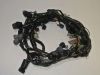Wire Harness Kawasaki Z 1000 Sx
