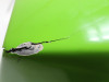 Cowl upper front Kawasaki ZXR 750 R