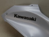 Tankschutz Kawasaki Z 900