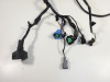 Wire Harness Kawasaki ER 6