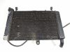 Radiator Yamaha YZF 600 Thundercat