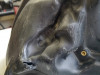 Fuel tank Aprilia Shiver 750