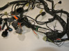 Wire Harness Kawasaki Z 750