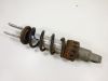Stossdampfer hinten Suzuki Burgman AN 250