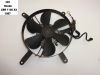 Fan Honda CBR 1100 XX