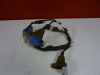 Wire harness front Honda CBR 1100 XX