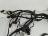 Wire Harness Ducati Monster 695