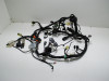 Wire Harness Kawasaki Ninja 300