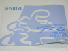 Instructieboekje Yamaha FZ6