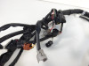 Wire Harness Suzuki SFV 650 Gladius