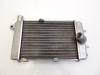 Radiator Aprilia RSV 1000